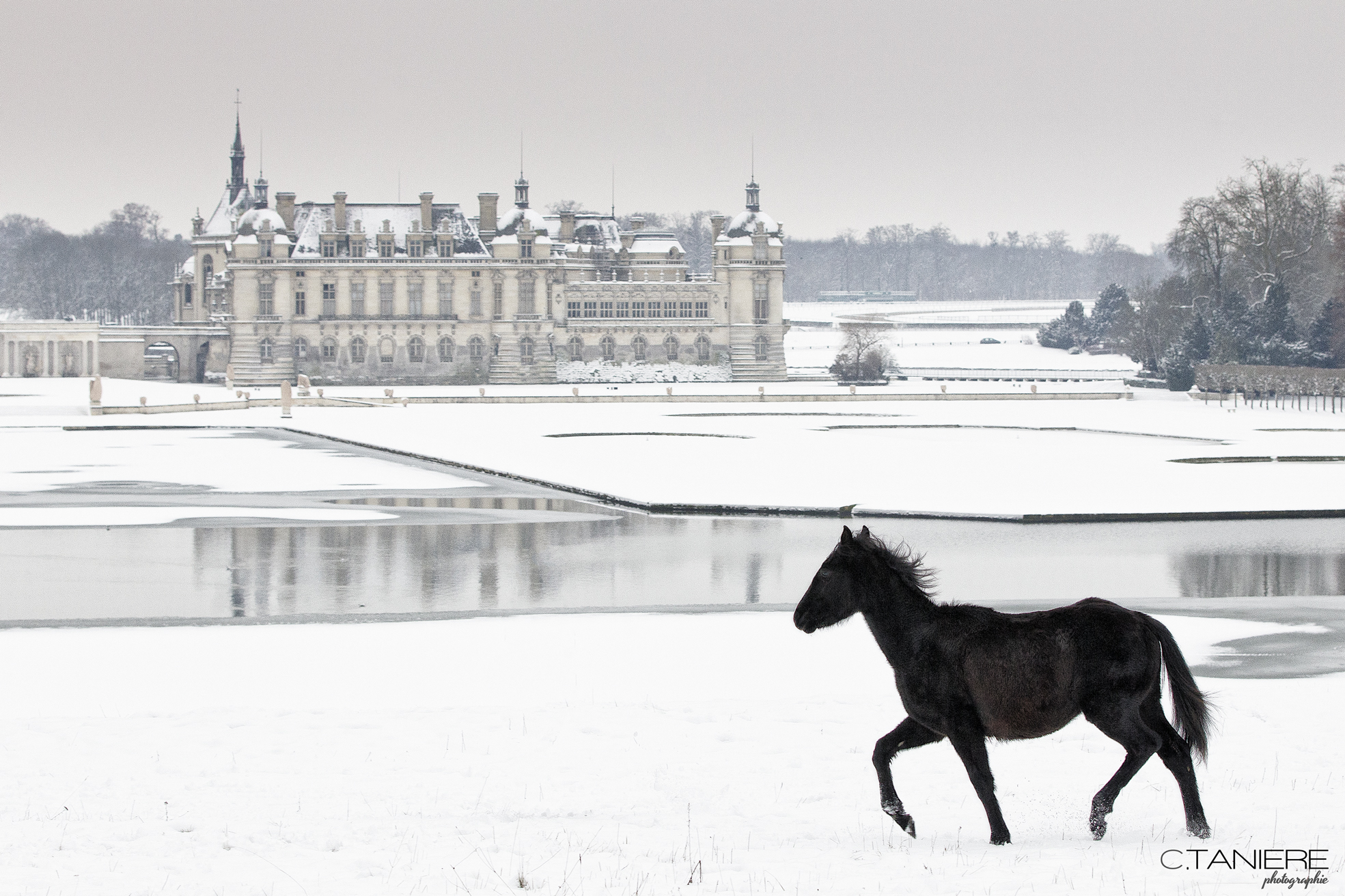 Horse in the snow Chantilly France_lt_sign