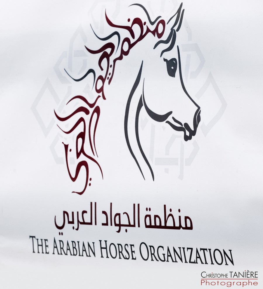 arabian-horse-show-organization