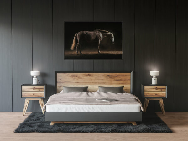 photo Staging "Lusitanian horse" in a room