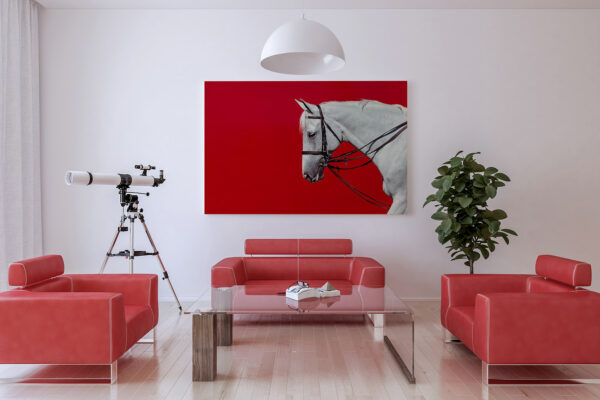 Photo of a white horse in a living room