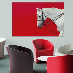 Photo d’un cheval blanc dans une salle d'attente