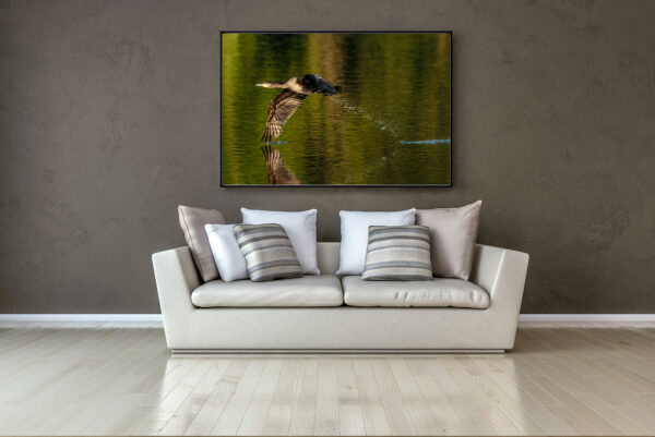 Présentation de la photographie exposée dans un salon.