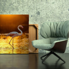 Representation of a flamingo photograph with an armchair