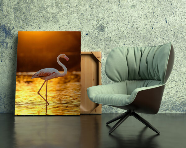 Representation of a flamingo photograph with an armchair