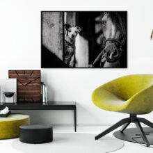 Poster photo « Jack & Horse » dans un living-room