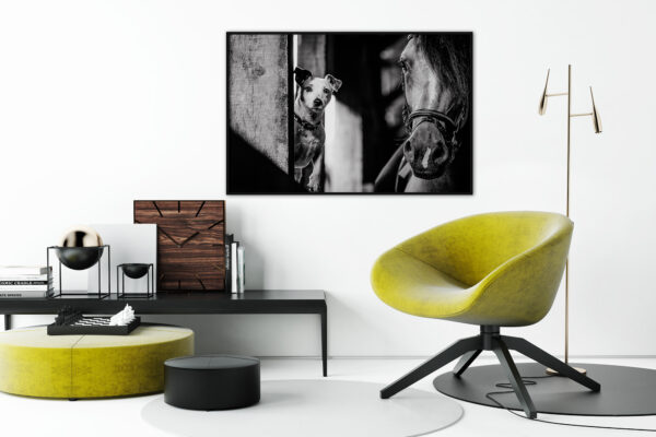 Poster photo « Jack & Horse » dans un living-room