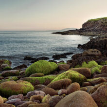 photo showing green algae on pebbles at Keem Bay in Ireland.