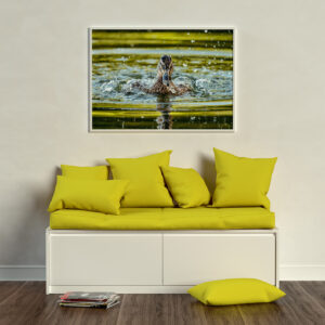 Poster photo « Madame Colvert » dans un living-room