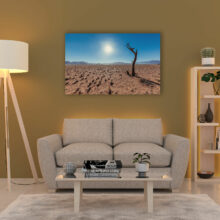 Photo presentation of a dead tree in Namibia Photo presentation of a dead tree in Namibia