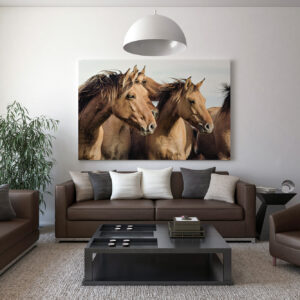 mise en situation « Hensons - Portrait de famille »