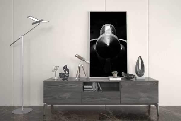 Presentation Photo of a Rafale on a television cabinet