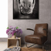 Horse nose photo in a home living room