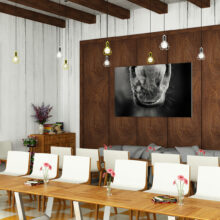 Horse nose photo in a restaurant