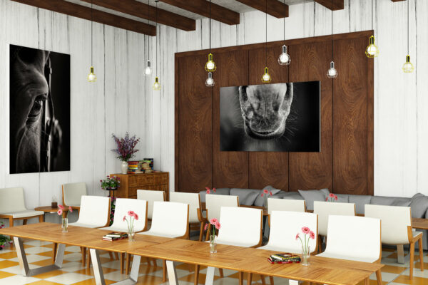 Horse nose photo in a restaurant