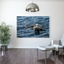 Staging dans un salon avec photo de Pélican