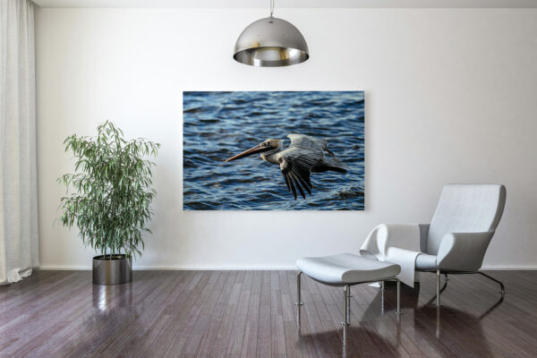 Staging dans un salon avec photo de Pélican