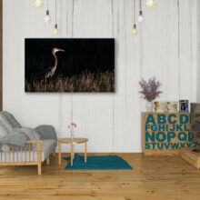 Photo poster "a bird passes" in a living room
