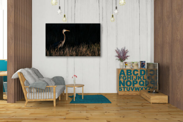 Photo poster "a bird passes" in a living room