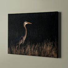 Detail of a photo on canvas "a bird passes"