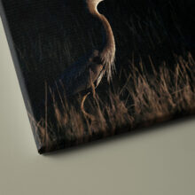 Photo material detail on canvas "a bird passes"