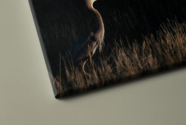 Photo material detail on canvas "a bird passes"
