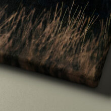 Photo material detail on canvas "a bird passes"