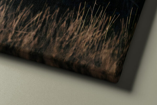 Photo material detail on canvas "a bird passes"