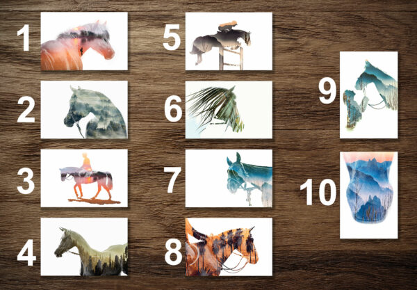 Assortment of 10 horse theme postcards