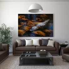 Photo « alligator or » staging living room