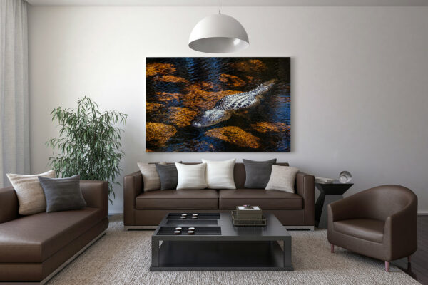 Photo « alligator or » staging living room