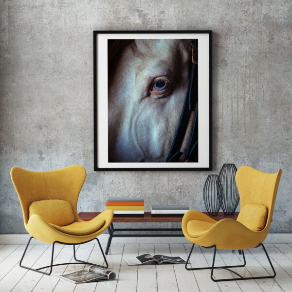 Staging photo «  Cremollo »