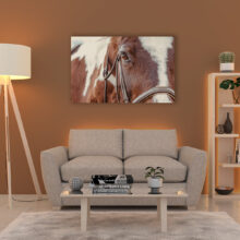 Home staging - staging living room