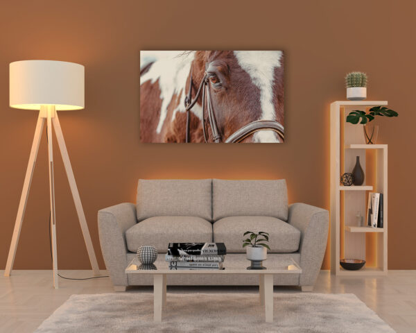 Home staging - staging living room