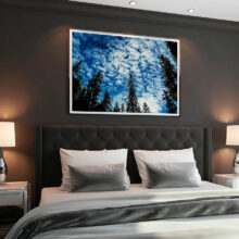 staging chambre photo « La foret bleue »