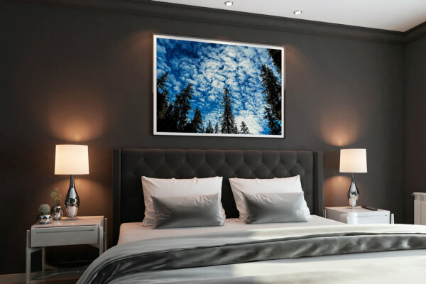 staging chambre photo « La foret bleue »