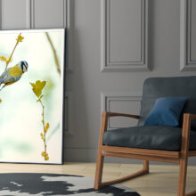 staging photo "Tit heart"