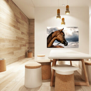 staging photo « portrait cheval arabe »