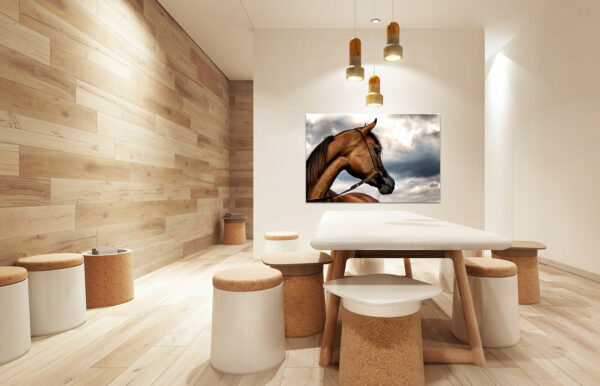 staging photo « portrait cheval arabe »