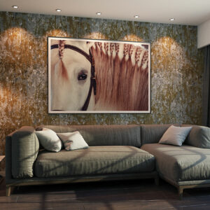 staging photo horse "Lusitano look"