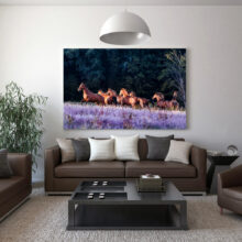 Interieur staging decoration photo cavalcade equestre