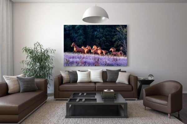 Interieur staging decoration photo cavalcade equestre