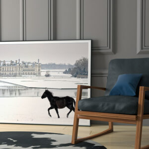 Photo dans un cadre qui montre un poulain noir sur la neige devant le chateau de Chantilly dans l’Oise.