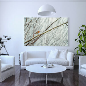 photo frame in a living room that represents a robin on a branch in the middle of winter in minus six degrees.