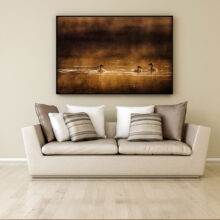 salon avec photo - ballade matinale