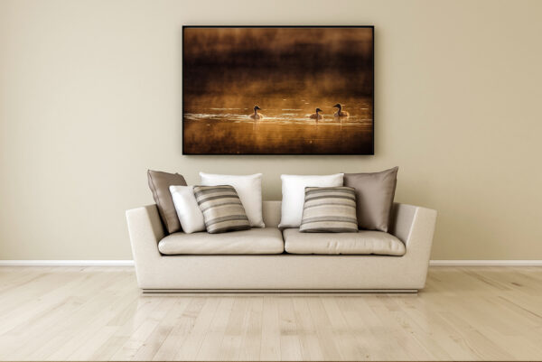 salon avec photo - ballade matinale