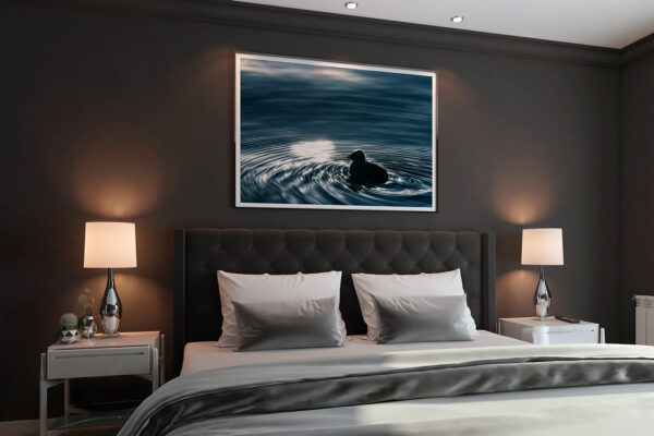 staging photo mur - première sortie