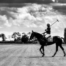 Joueur de Polo - 40x60cm