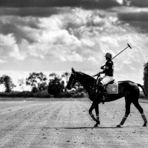 Joueur de Polo - 40x60cm
