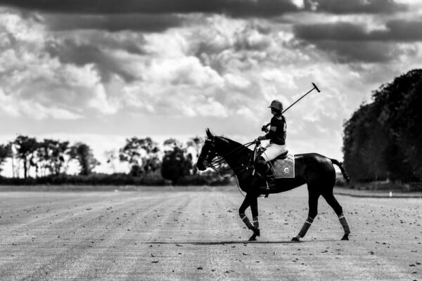 Joueur de Polo - 40x60cm