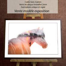 Cheval de gloire - 50x75cm